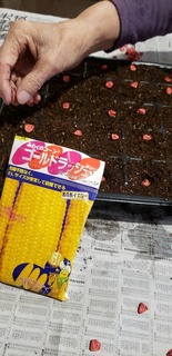 20190417_092332.jpg