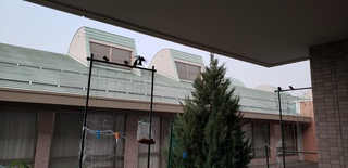 20190606_043218.jpg