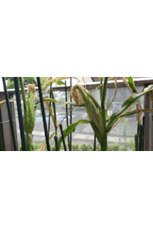 20190710_130903.gif