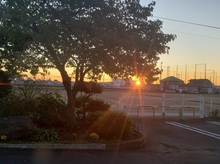 20191106_063101-1043x782.jpg